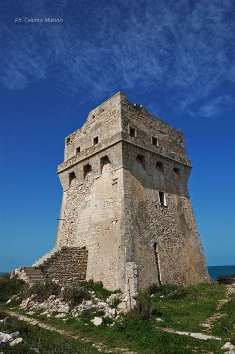 Vandelia B&B Molfetta Extérieur photo